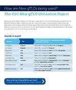 CSC-New-gTLD-Utilization-Report_Oct2014